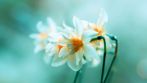 5分钟骆驼祥子演讲稿