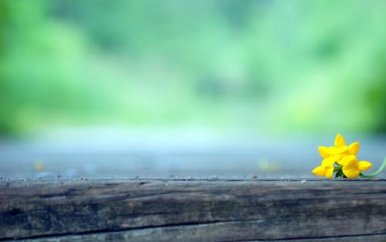 骆驼祥子小故事5分钟演讲稿