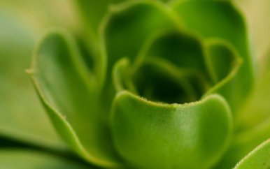 骆驼祥子小故事5分钟演讲稿