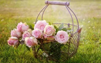 三年级作文军训夏令营