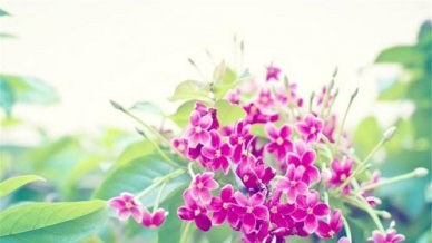 英语夏令营的作文