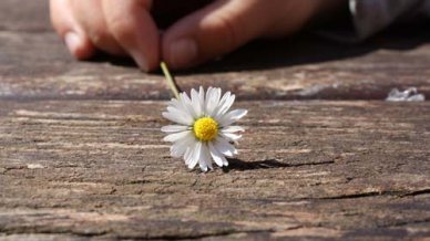 夏令营的一天作文