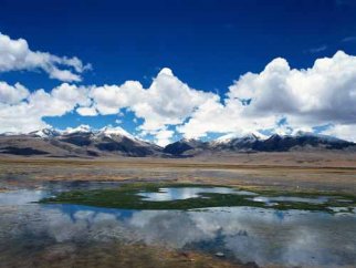 威海夏令营作文