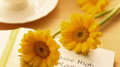 关于六年级读书的演讲稿400字