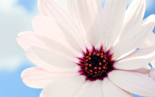 竞聘超市主管演讲稿