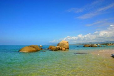 读书的感受演讲稿