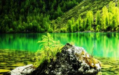 关于读书使我成长的演讲稿