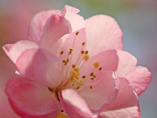 客服经理竞聘演讲稿范文