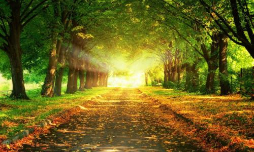 话端午作文300字