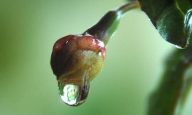 以幸福的端午为题的作文