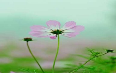 微笑的力量三分钟演讲稿