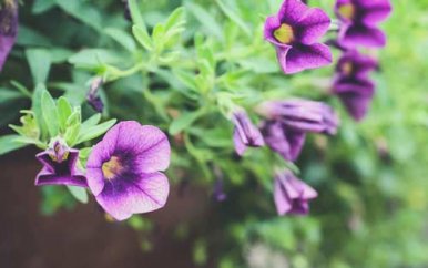 怎样提高幼儿的专注力