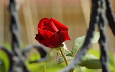 如何提高自身表达能力