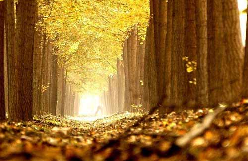 小学语文常用表达方法有哪些