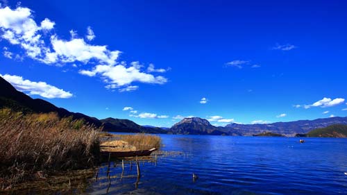 小学语文作业减负的方法