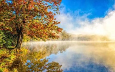 端午节念屈原作文