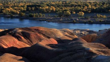 小学生怎样学好语文