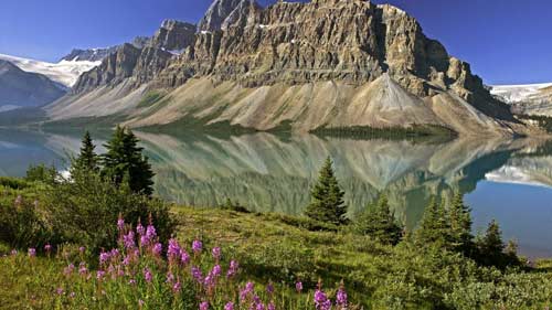 小学语文正确评价方法