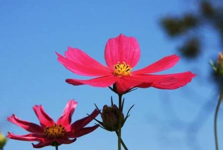 学雷锋演讲稿800字