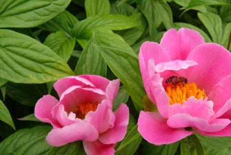 以创新为话题的演讲稿