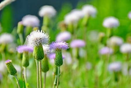 爱国主义演讲稿400字