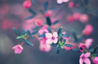 小学数学兴趣教学