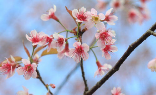 怎样能快速背英语单词