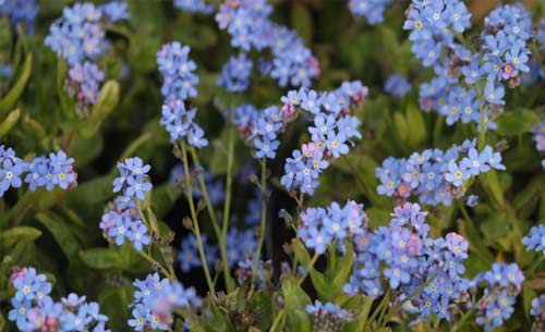 怎样能背会英语单词