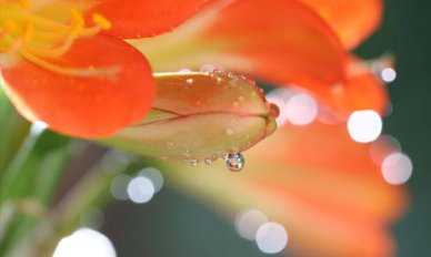 怎样记单词过目不忘又最快