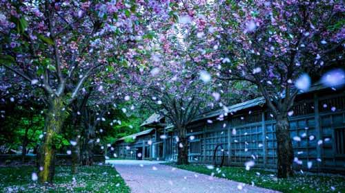 怎样快速学会说英语