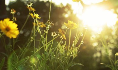 小学怎样练好英语口语