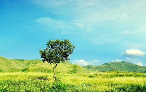 自学mba需要什么用