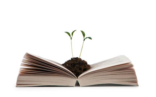 注册造价工程师