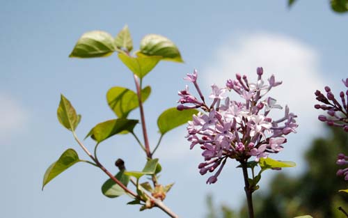造价师考试看书技巧