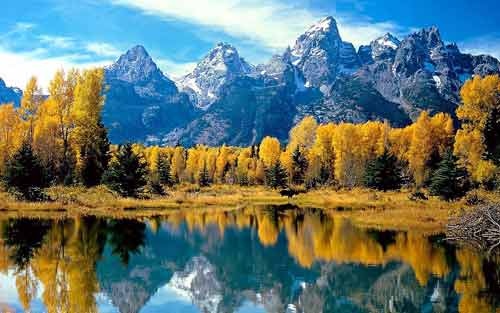 造价师考试看书技巧