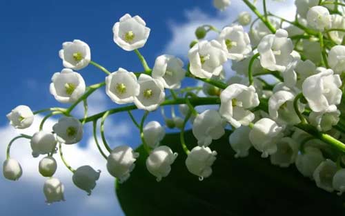 安装造价师看书技巧