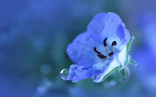 中国梦我的梦演讲稿高中生