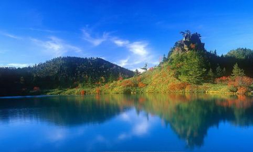 浓浓端午情高中生作文