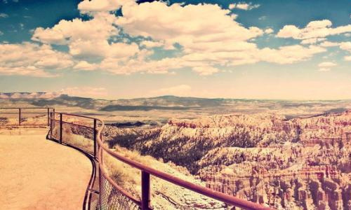 我与端午有个约作文