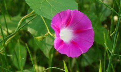 暑假第一天的作文