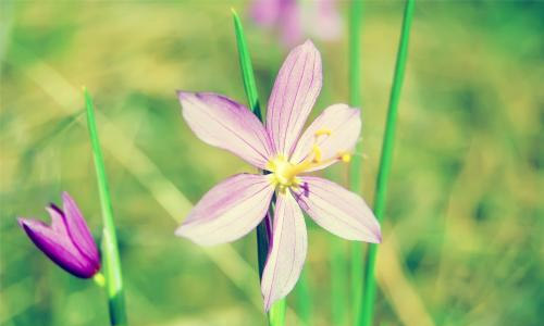 暑假的自由的作文