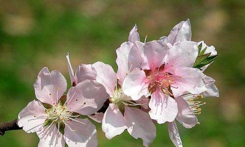 暑假的一天作文300字