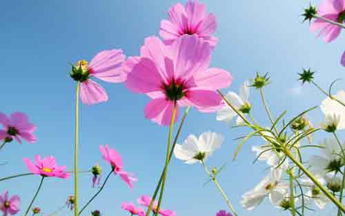 如何消除考试焦虑