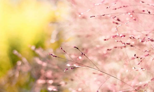 韩国旅游的作文