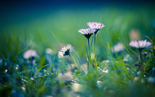 关于香港旅游作文