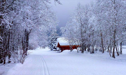 珠海长隆旅游作文