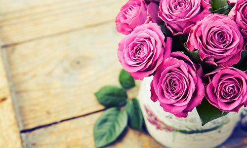 到香港旅游作文