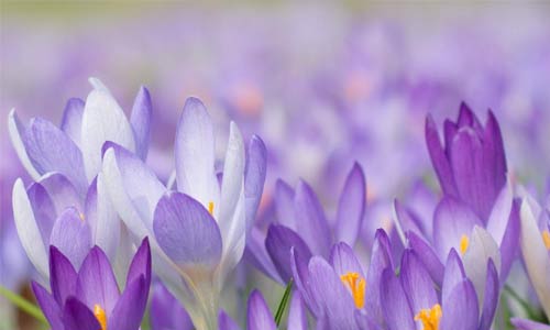 北京旅游作文500字