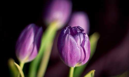 记一次旅游作文400字