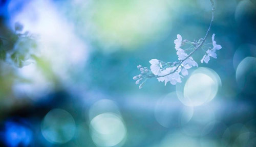 香港旅游作文500字